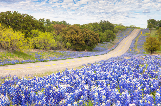 Texas Hill Country Loop