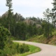 Black Hills - South Dakota